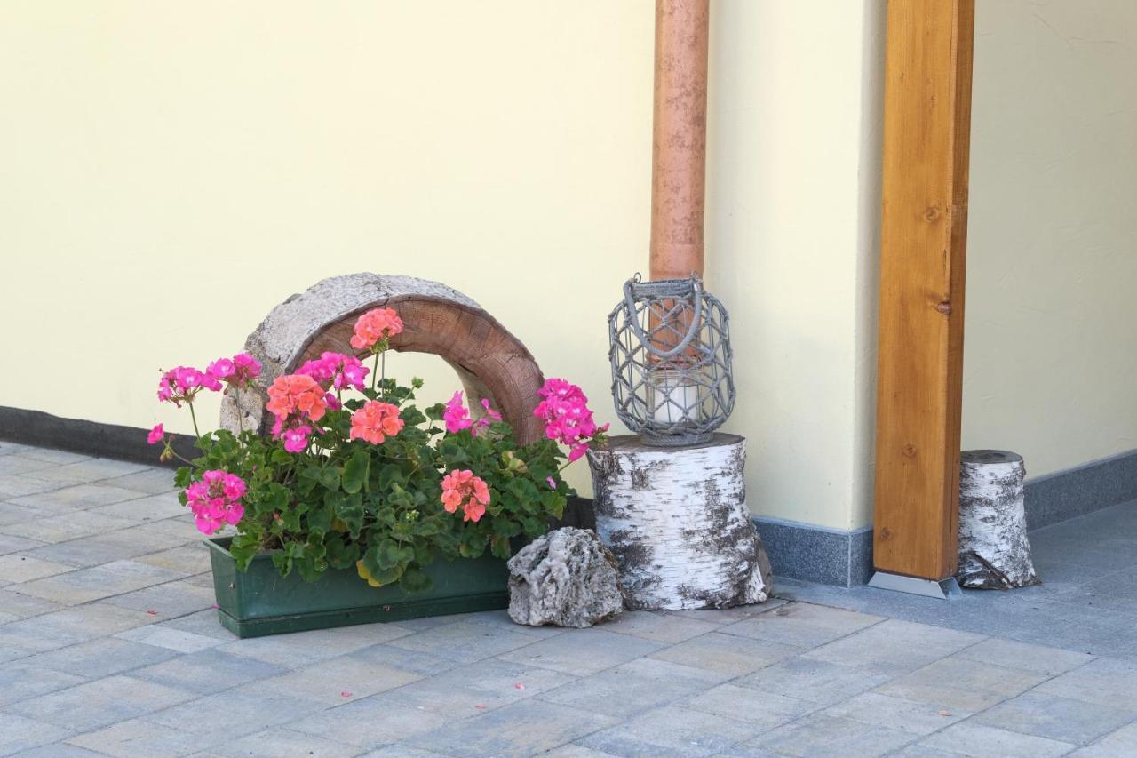 B&B Le Ciorciole Tesero Zewnętrze zdjęcie