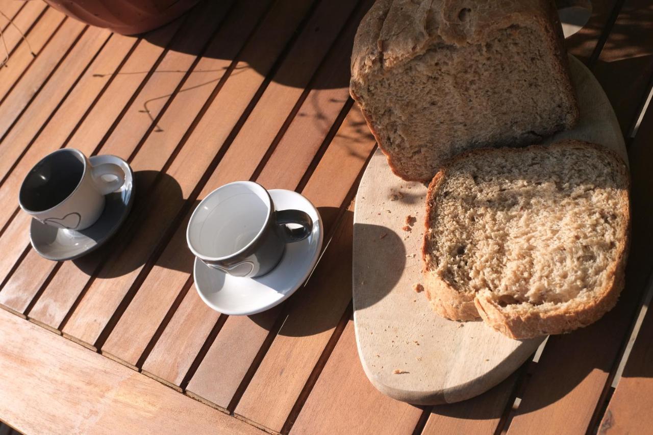 B&B Le Ciorciole Tesero Zewnętrze zdjęcie